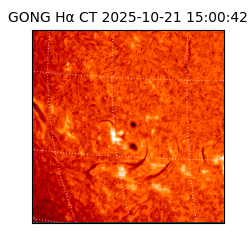 gong - 2025-10-21T15:00:42