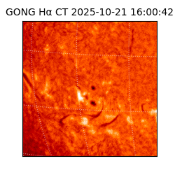 gong - 2025-10-21T16:00:42