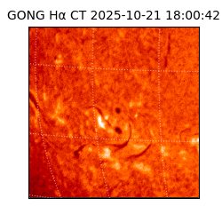 gong - 2025-10-21T18:00:42