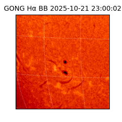 gong - 2025-10-21T23:00:02