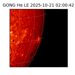 gong - 2025-10-21T02:00:42