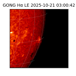 gong - 2025-10-21T03:00:42