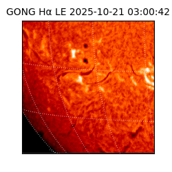 gong - 2025-10-21T03:00:42