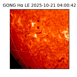 gong - 2025-10-21T04:00:42