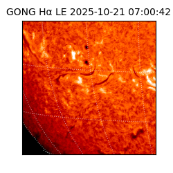 gong - 2025-10-21T07:00:42