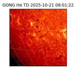 gong - 2025-10-21T08:01:22