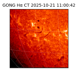 gong - 2025-10-21T11:00:42