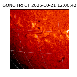 gong - 2025-10-21T12:00:42
