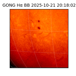 gong - 2025-10-21T20:18:02