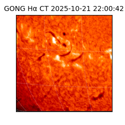 gong - 2025-10-21T22:00:42