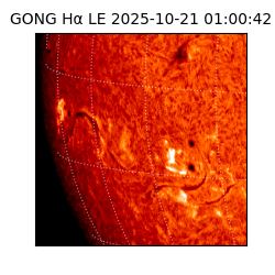 gong - 2025-10-21T01:00:42