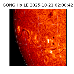 gong - 2025-10-21T02:00:42