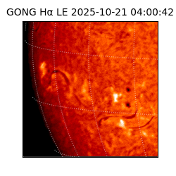 gong - 2025-10-21T04:00:42