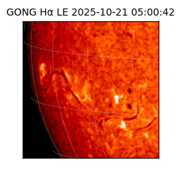 gong - 2025-10-21T05:00:42