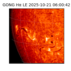gong - 2025-10-21T06:00:42