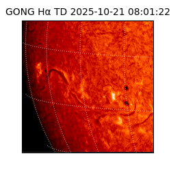 gong - 2025-10-21T08:01:22