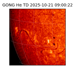 gong - 2025-10-21T09:00:22