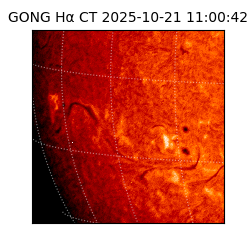 gong - 2025-10-21T11:00:42