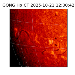 gong - 2025-10-21T12:00:42