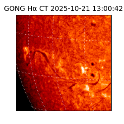 gong - 2025-10-21T13:00:42