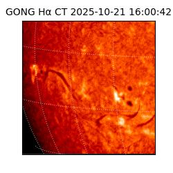 gong - 2025-10-21T16:00:42