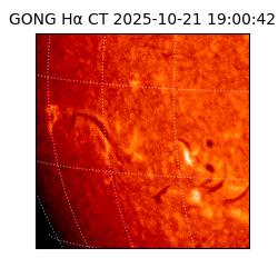 gong - 2025-10-21T19:00:42