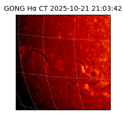 gong - 2025-10-21T21:03:42