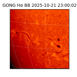 gong - 2025-10-21T23:00:02