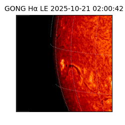 gong - 2025-10-21T02:00:42