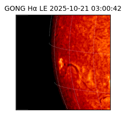 gong - 2025-10-21T03:00:42