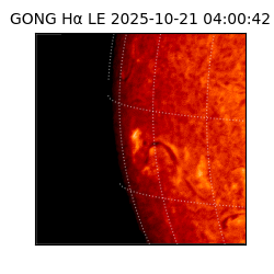 gong - 2025-10-21T04:00:42