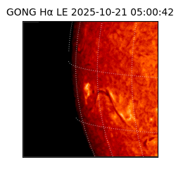 gong - 2025-10-21T05:00:42