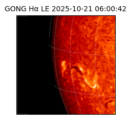 gong - 2025-10-21T06:00:42