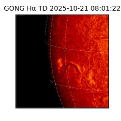 gong - 2025-10-21T08:01:22
