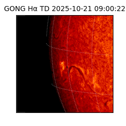 gong - 2025-10-21T09:00:22