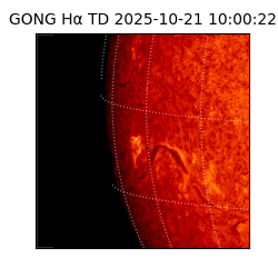 gong - 2025-10-21T10:00:22