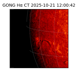 gong - 2025-10-21T12:00:42