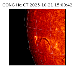 gong - 2025-10-21T15:00:42