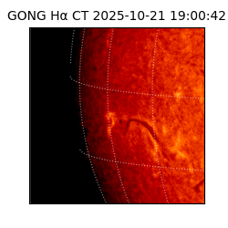 gong - 2025-10-21T19:00:42