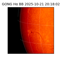 gong - 2025-10-21T20:18:02