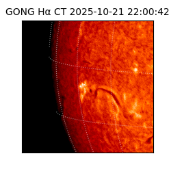 gong - 2025-10-21T22:00:42
