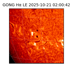 gong - 2025-10-21T02:00:42