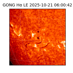 gong - 2025-10-21T06:00:42