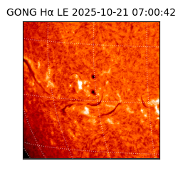 gong - 2025-10-21T07:00:42