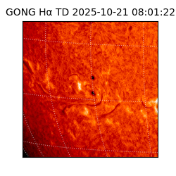 gong - 2025-10-21T08:01:22
