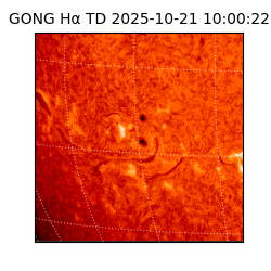 gong - 2025-10-21T10:00:22