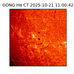 gong - 2025-10-21T11:00:42