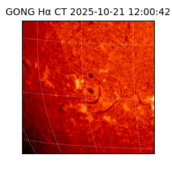 gong - 2025-10-21T12:00:42