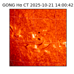 gong - 2025-10-21T14:00:42