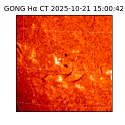 gong - 2025-10-21T15:00:42